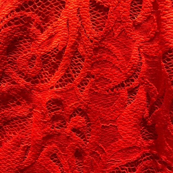 H & M Red/Orange Stretchy Lace Dress - Picture 2 of 6